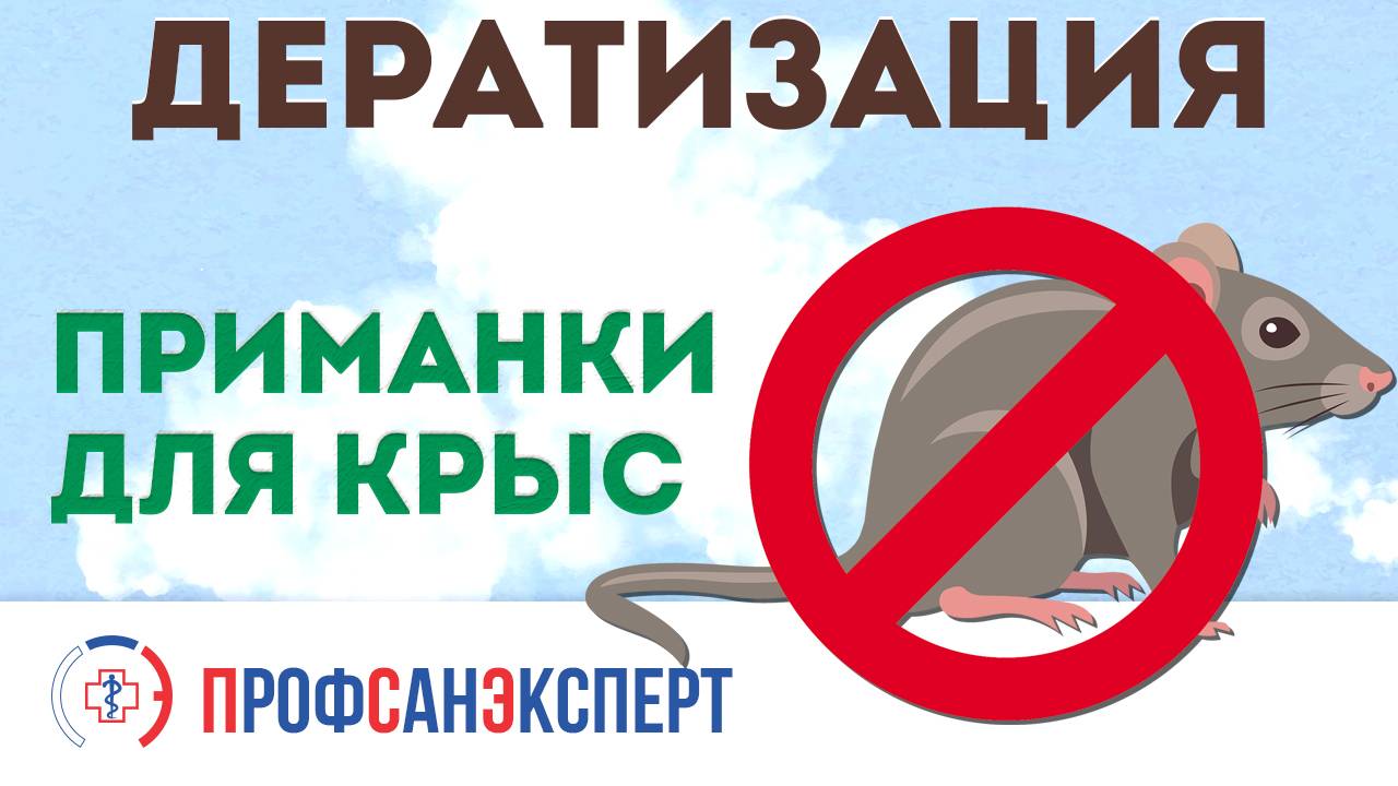 Видео превью